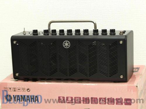 YAMAHA THR10C