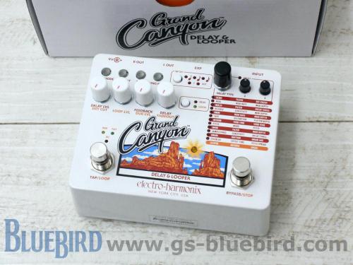 electro harmonix Grand Canyon Delay & Looper