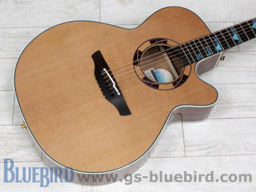 Takamine SANTAFE DSF46C Natural Gloss