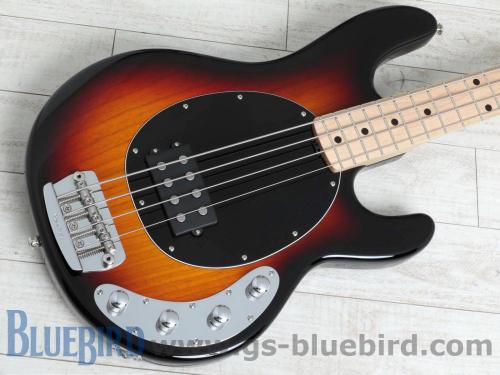 MusicMan StingRay Vintage Sunburst Maple 2016年製