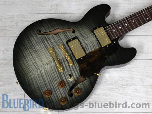 Rozalia Urbanity Flame Maple Top Dark Charcoal Burst