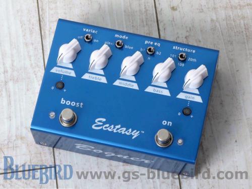 Bogner Ecstasy Blue