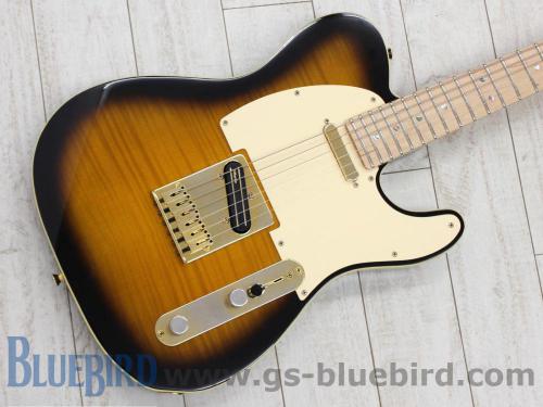 Fender Japan TLR-RK Richie Kotzen Brown Sunburst 2013年製