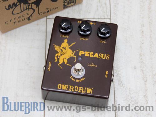 Caline Pegasus Overdrive